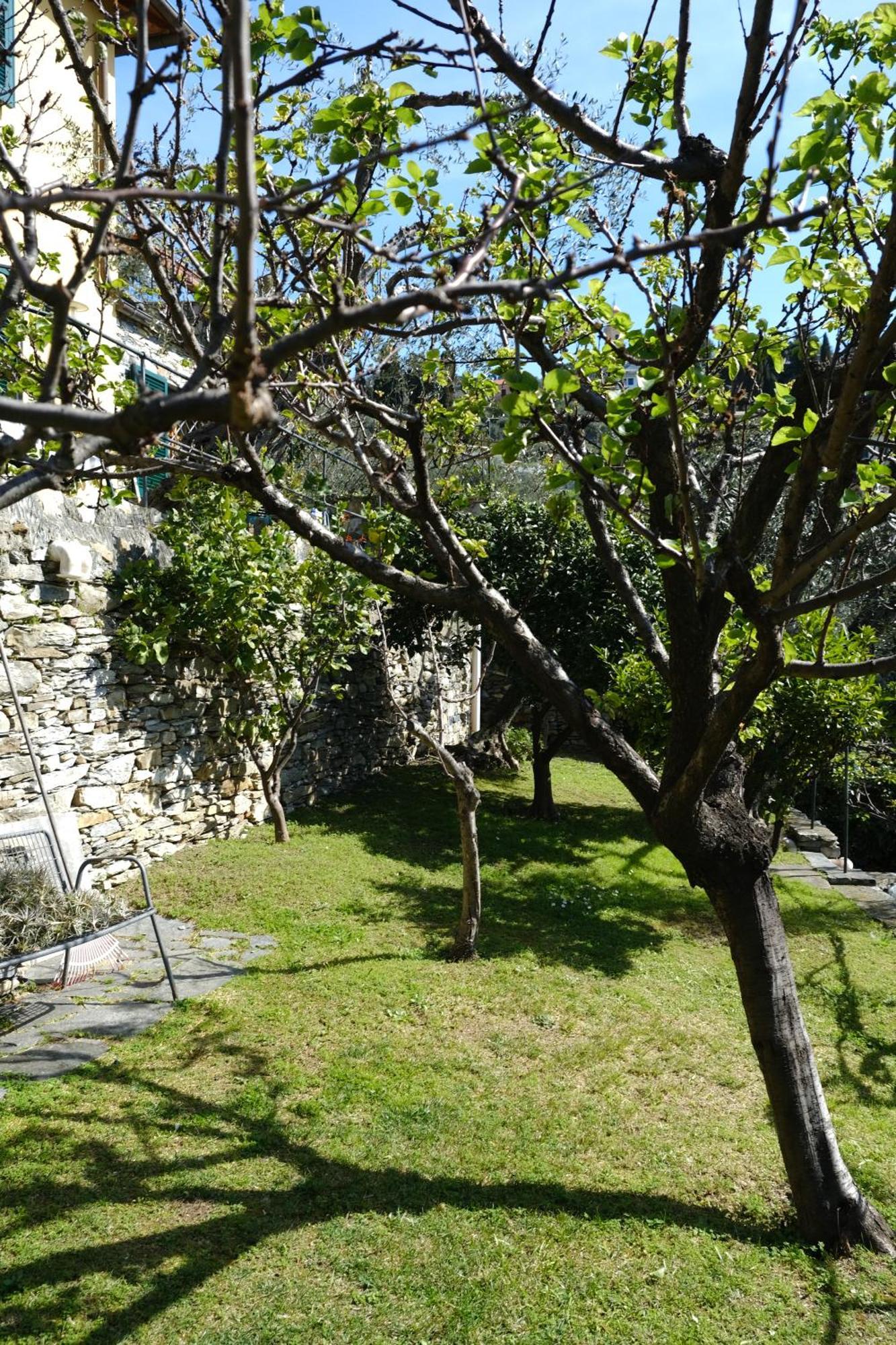 L'Alcova Tra Gli Ulivi By Portofinovacanze Zoagli Exterior photo