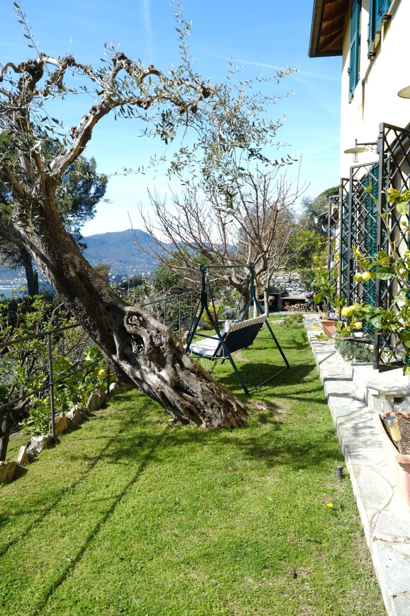 L'Alcova Tra Gli Ulivi By Portofinovacanze Zoagli Exterior photo