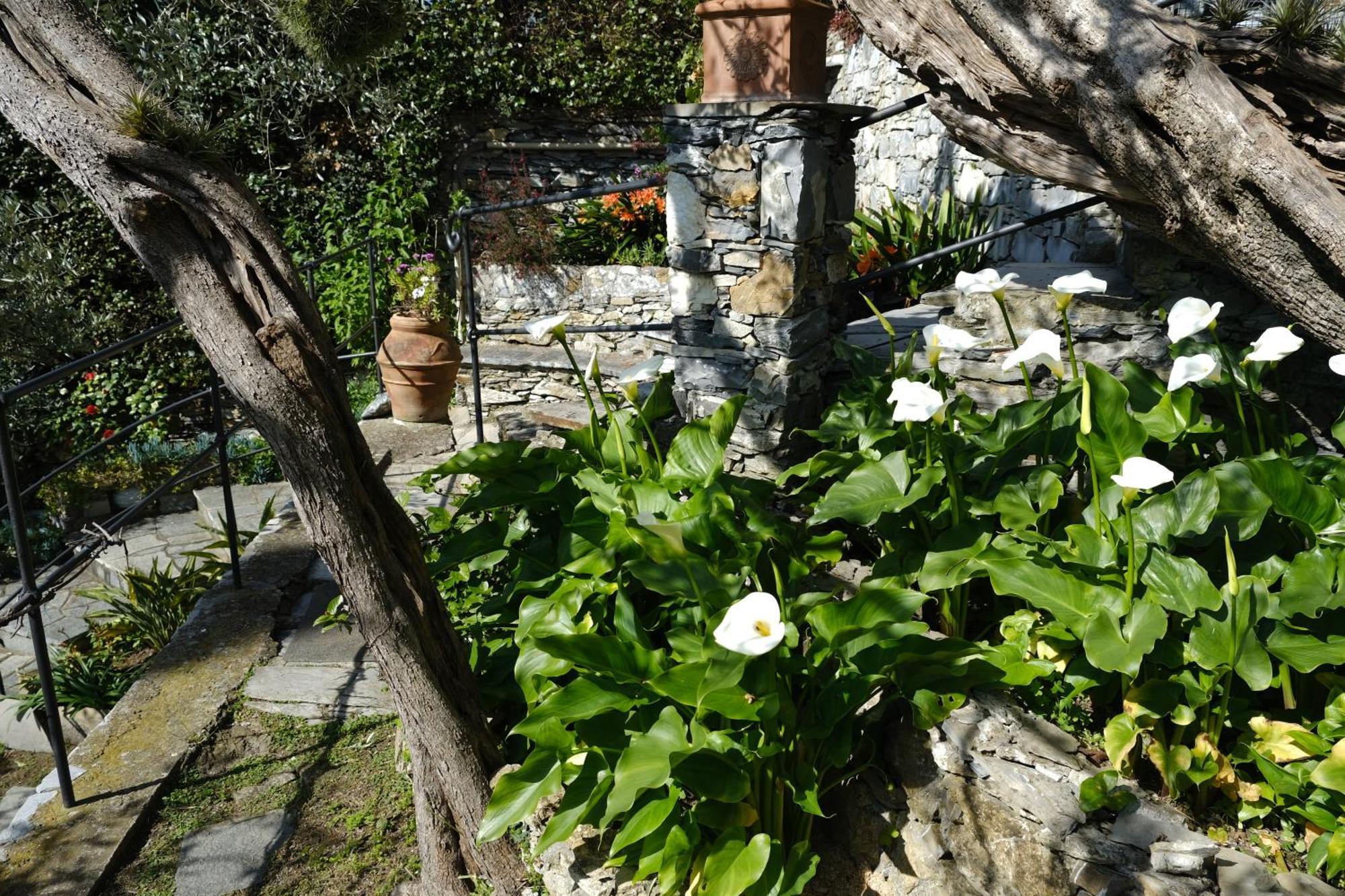 L'Alcova Tra Gli Ulivi By Portofinovacanze Zoagli Exterior photo